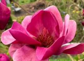5736_2 — kopiya — kopiya